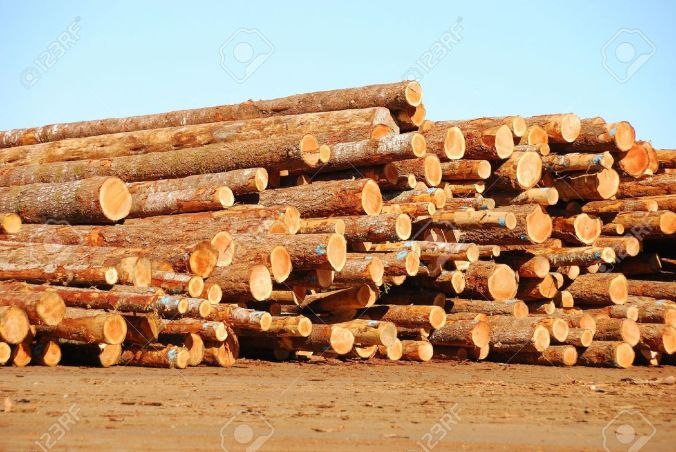 lumber logs